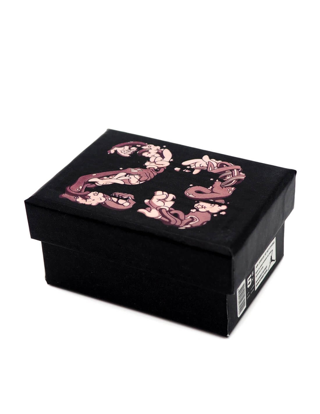 Mini Boite Sneakers Jordan 11 Space Jam