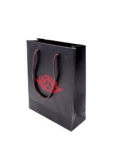 Mini Sac Sneakers Jordan 2