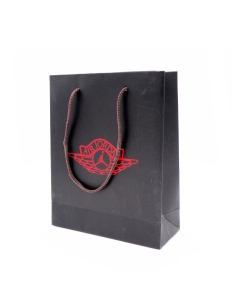 Mini Sac Sneakers Jordan