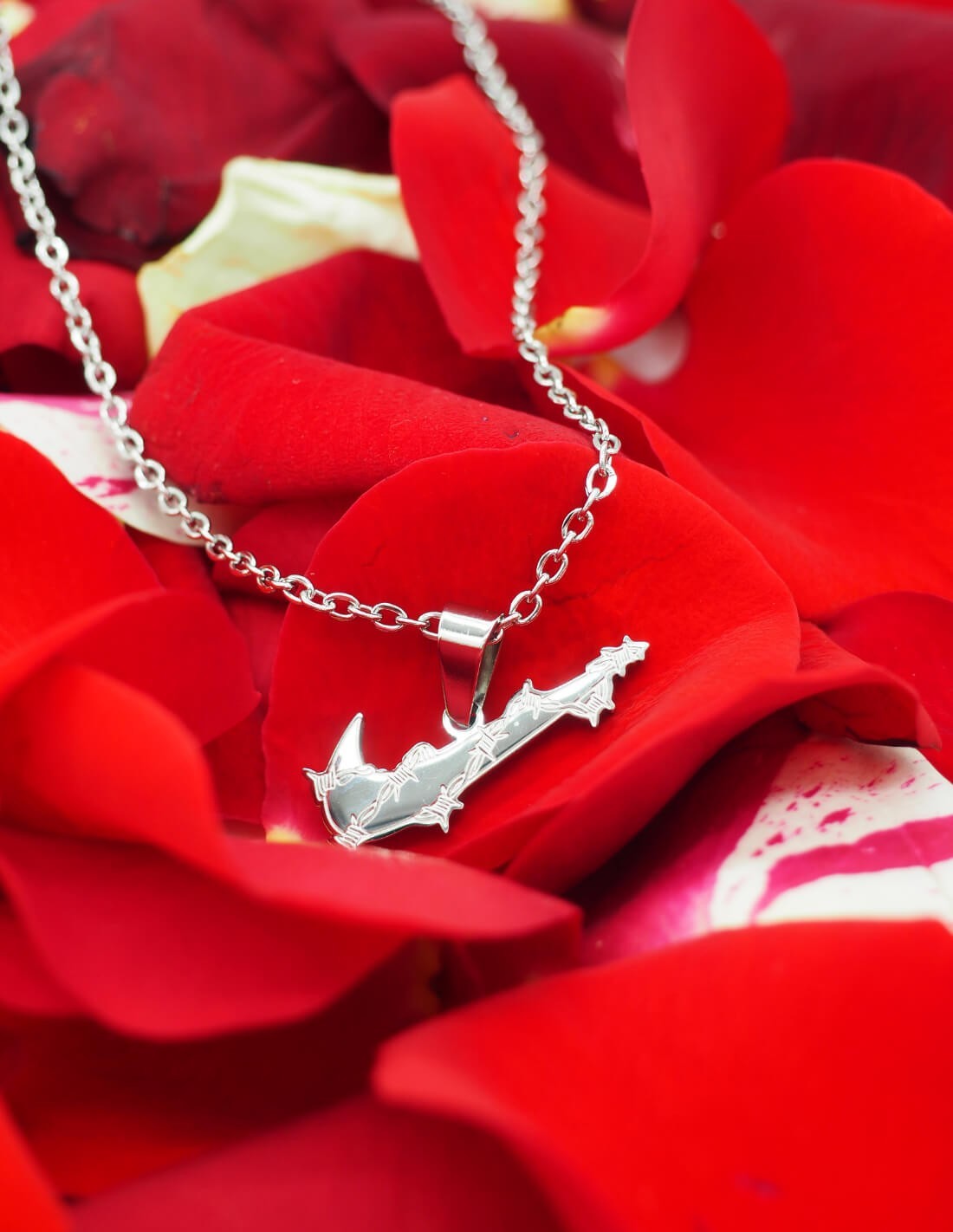 Collier Nike Swoosh Argenté