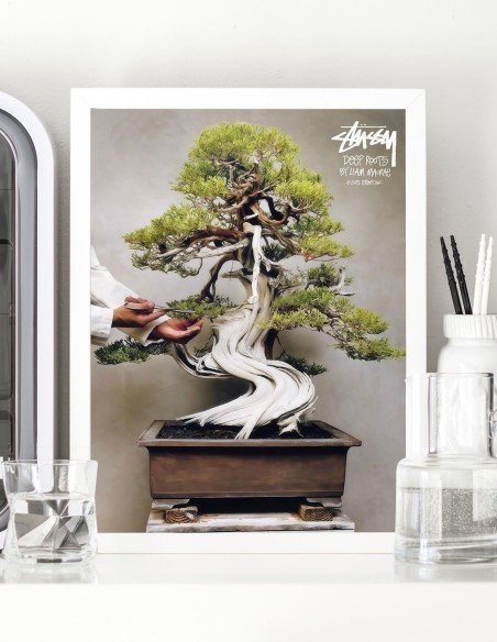 affiche bonsai stussy liam macrae