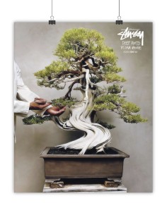 poster bonsai stussy liam macrae